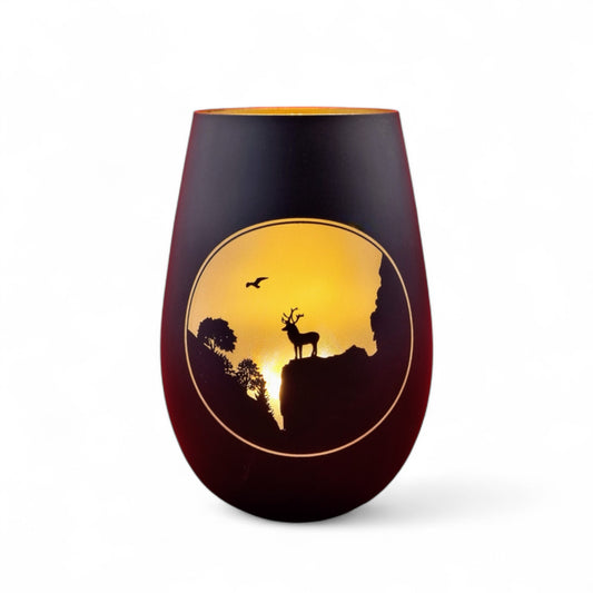 Glaswindlicht Hirschsprung